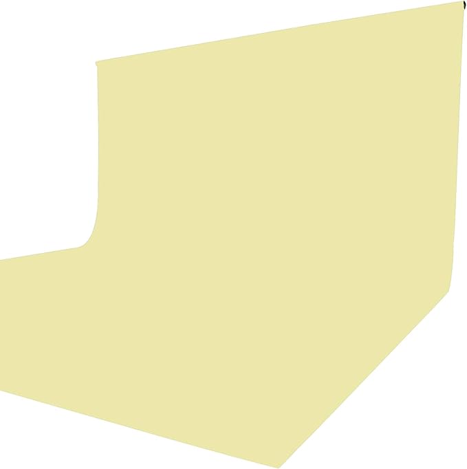 ISSUNTEX 6X9 ft/1.8X2.7 Meters Beige Background Photo Backdrop, Photo Studio, Collapsible High Density Screen for Video Photography and Television