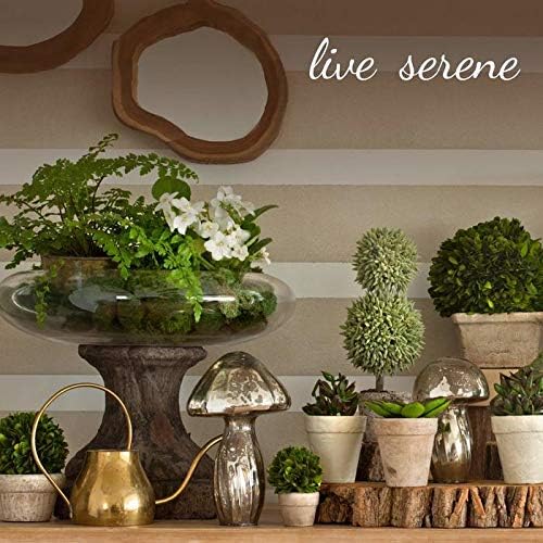 Serene Spaces Living Short Clear Ribbed Glass Votive Holder, Decorative Centerpiece for Wedding, Christmas, Thanksgiving, Dining Table, Living Room, Home Décor, 2" Diameter & 2.25" Tall, Pack of 32