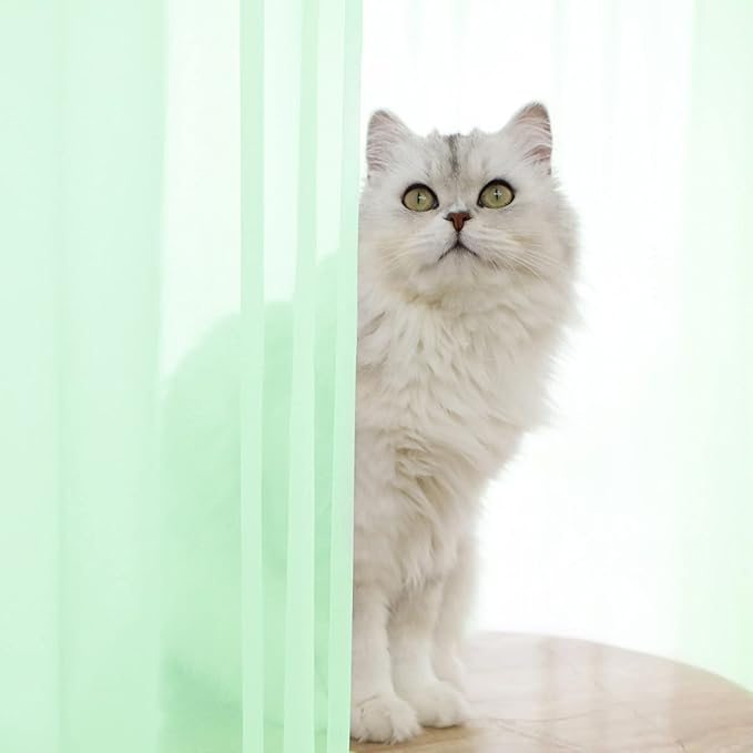 Window Light Green Sheer Curtains 63 Inches Long 2 Panels Sheer Curtain Basic Rod Pocket Panel for Bedroom Children Living Room Yard Kitchen