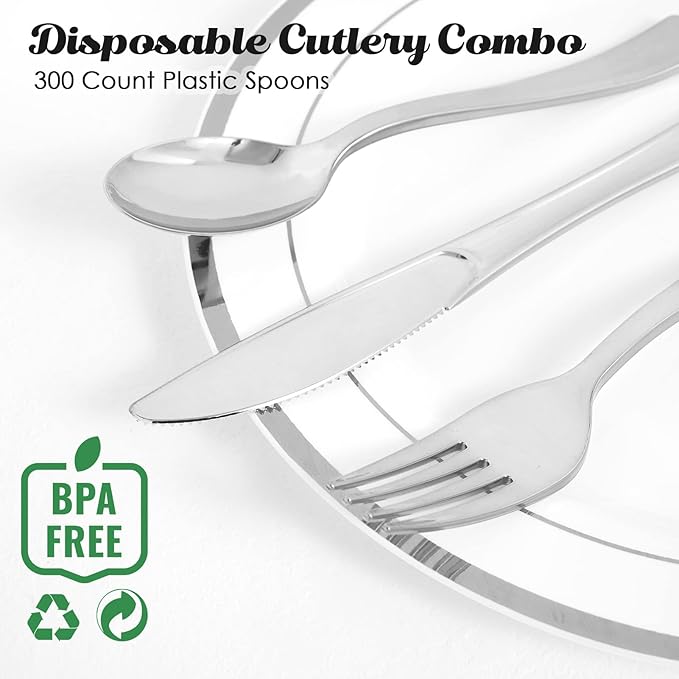 Disposable Plastic Spoons, 300 Count, 6.8-Inch Silver Finish