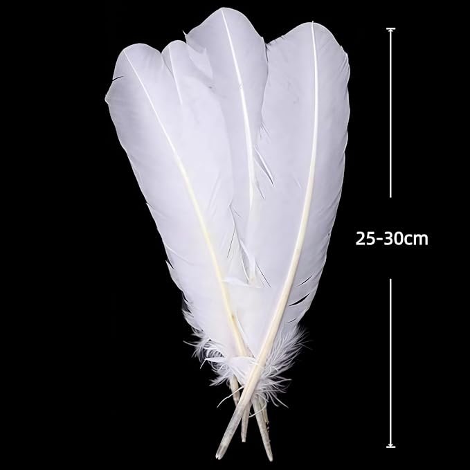 White Turkey Feathers,22 Pcs Natural Feathers Bulk Long 10-12 inch (25-30cm),Turkish Feather for Crafts DIY Wedding Home Party Mardi Gras Decorations (White)