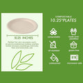 Disposable Paper Plates, 500 Count, Sugarcane Bagasse, Heavy-Duty
