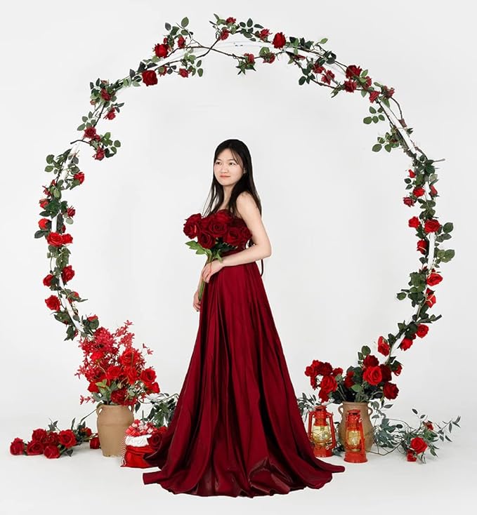 Round Backdrop Stand, Powder Coated Metal Circle Arch for Party Decor
