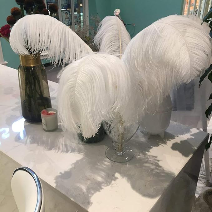 Sowder 8-10inch(20-25cm) Ostrich Feathers Plume for Wedding Centerpieces Home Decoration Pack of 10pcs(White)