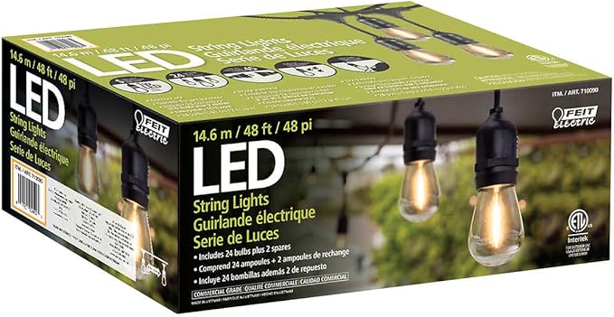 Indoor LED String Lights 48 ft Warm White Clear Frosted Metal
