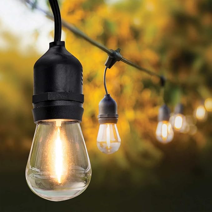 Indoor LED String Lights 48 ft Warm White Clear Frosted Metal