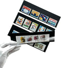 Philatelic Display Black Card Stamp Cover Stamp Collection Stamp Storage philatelic Album Stamps Collector Stamp Collecting Supplies Stamp Sleeves Stamp (1 Row Stamp Protective Cover 32 pcs)