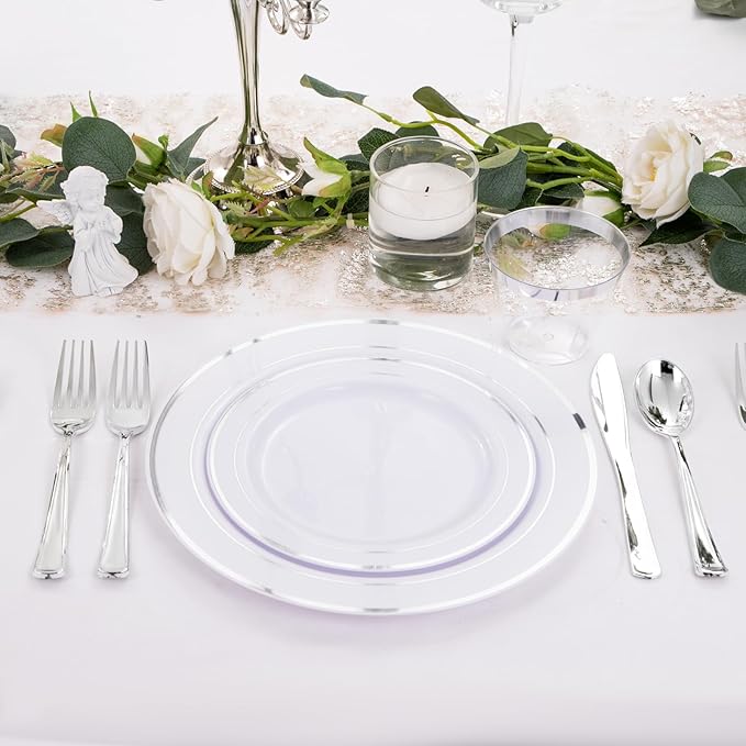 Plates for 25 Guests: Silver Rim Disposable Dinnerware, 150 Pieces