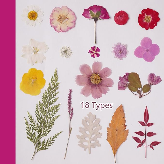 18Types 48PCS Real Dried Purple Pressed Flowers Leaf Plant Herbarium for Crafts Resin Jewelry Making, Floral Cake Decorations-Violet