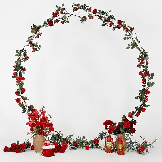 Round Backdrop Stand, Powder Coated Metal Circle Arch for Party Decor