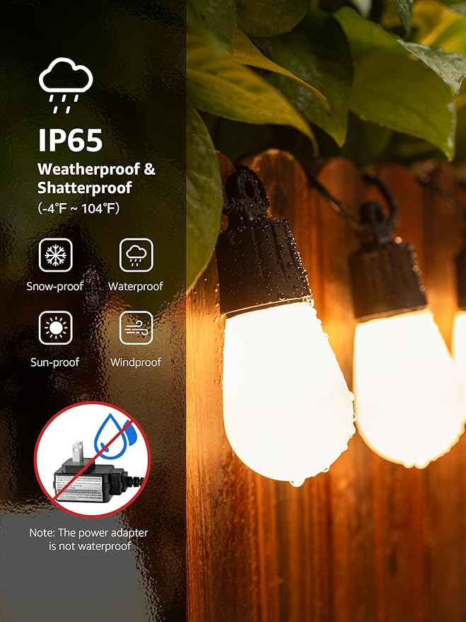 String Lights Outdoor RGBIC Smart LED with App and Voice Control