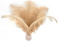 Ballinger Champagne Large Ostrich Feathers - 12Pcs 14-16inch Large Boho Feathers for Vase,Wedding Party Centerpieces and Holiday Home Decor