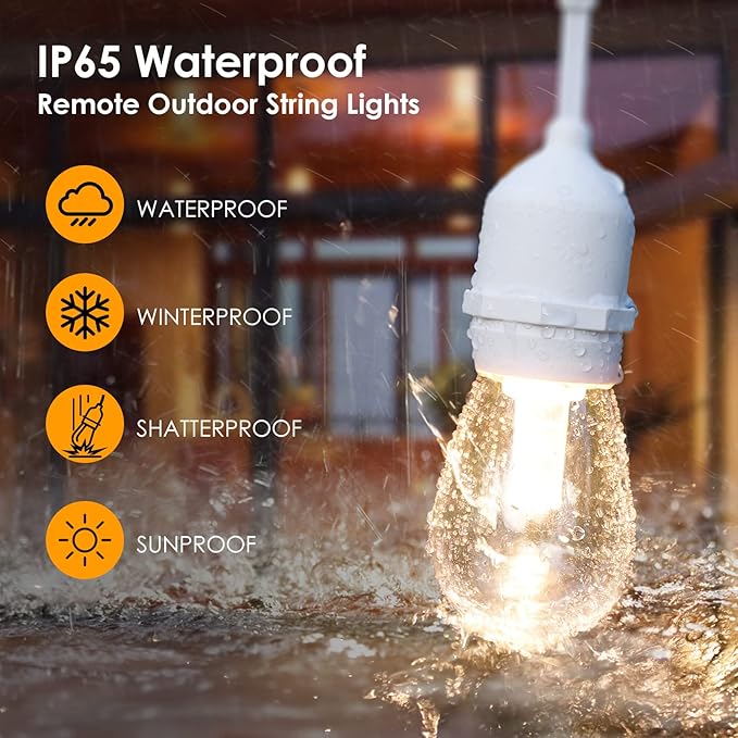Outdoor String Lights 2-Pack 48 ft Dimmable LED with Remote, 3 Color Options