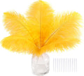 SOGUGOM Gold Craft Ostrich Feathers - 30PCS 8-10 inch Ostrich Feathers Kit for Centerpieces, Kindergarten Crafts, Dream Catchers and DIY Projects(Gold)