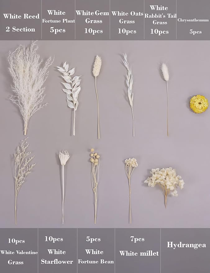 DIY Natural Dried Flower Kit Loose Dried Flowers for vases Off-White Dried Flowers with Stems Preserved Hydrangeas Mini Dried Flower Bouquets (White)