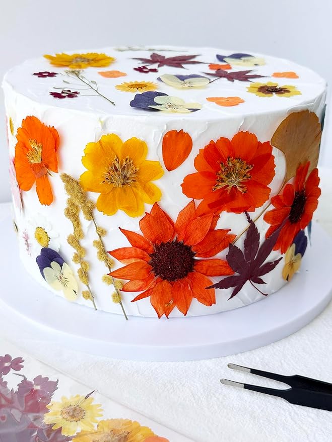 12Types Real Dried Pressed Flowers Sunflowers for Crafts Resin Jewelry Making, Fall Floral Cake Decorations-Orange