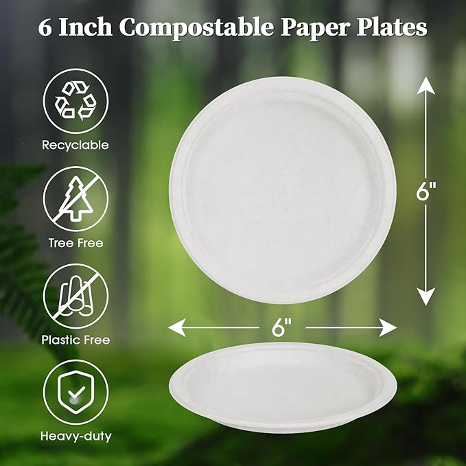 Small Paper Plates 6 Inch Sugarcane 500 Count White Round