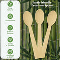 Disposable Bamboo Spoons, 300 Count, Brown, 6.7 Inch