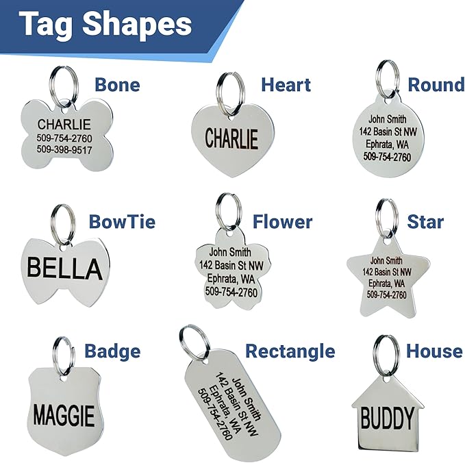 GoTags Stainless Steel Pet ID Tags, Personalized Dog Tags and Cat Tags, up to 8 Lines of Custom Text, Engraved on Both Sides, in Bone, Round, Heart, Bowtie and More (Round, Small (Pack of 1))