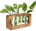 Glass Plant Propagation Station with 5 Test Tubes Colorful Planter Vase Birthday Gifts for Women in Wooden Stand