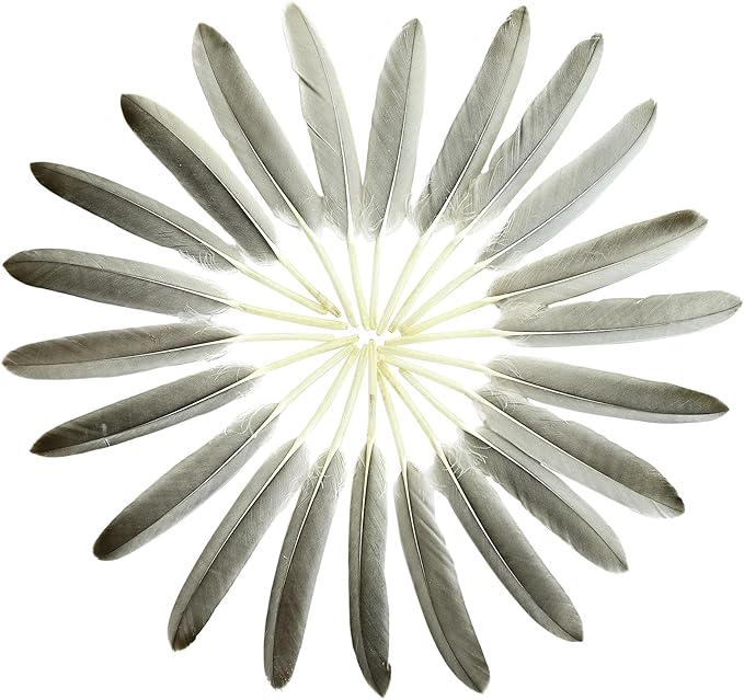 FeelfunFeather 120pcs Natural Gray Goose Cochettes Feathers Bulk 4-6 inches 10-15cm for Wedding Party Christmas Halloween Decorations DIY Crafts