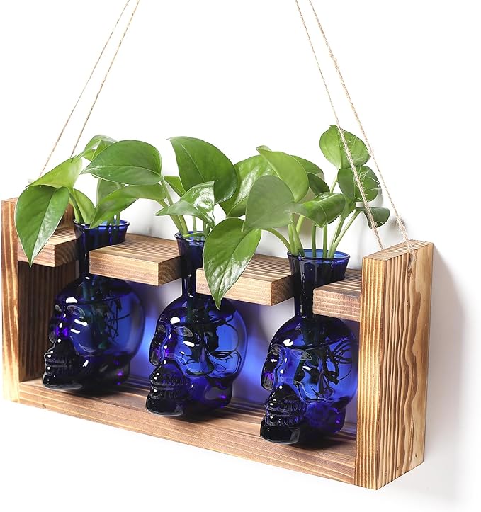 Terrariums Set of 3 Blue Skull Glass Vases with Wood Stand