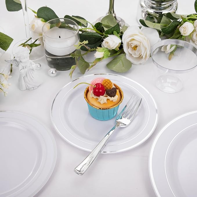 Plates for 25 Guests: Silver Rim Disposable Dinnerware, 150 Pieces
