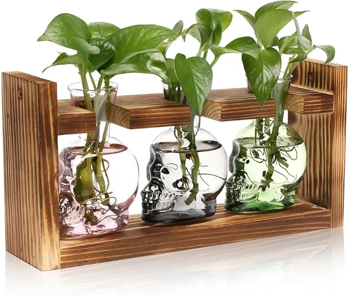 Terrarium Propagation Station, Skull Glass Vases in Grey Green Pink