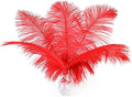 12pcs Natural Bright Red Ostrich Feathers 12-14inch (30-35cm) for Wedding Party Centerpieces，Flower Arrangement and Home Decoration.