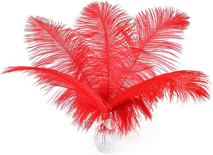 Ballinger Red Ostrich Feathers Bulk - 24Pcs 8-10inch Feathers for Crafts,Party Centerpieces,Wedding and Home Decor