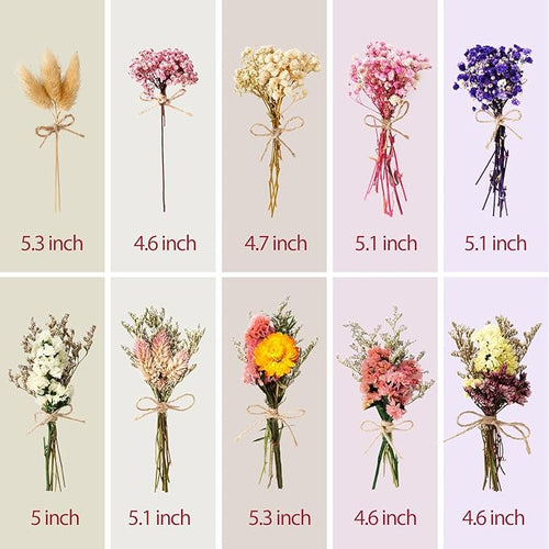 10/12/24/36 Pack Mini Dried Flowers for Vase Wedding Various Mini Bouquet Dried Small Wildflowers Natural Flowers Bulk for Crafts DIY Decor (10, Classic Color2)