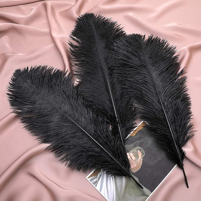 Ballinger Black Ostrich Feathers Bulk - 24Pcs 8-10inch Feathers for Crafts,Gatsby and Halloween Party Centerpieces