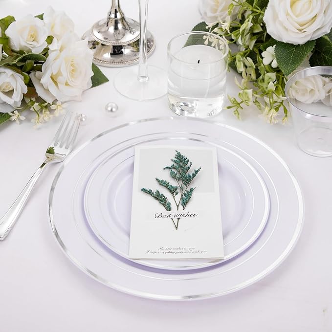 Plates for 25 Guests: Silver Rim Disposable Dinnerware, 150 Pieces