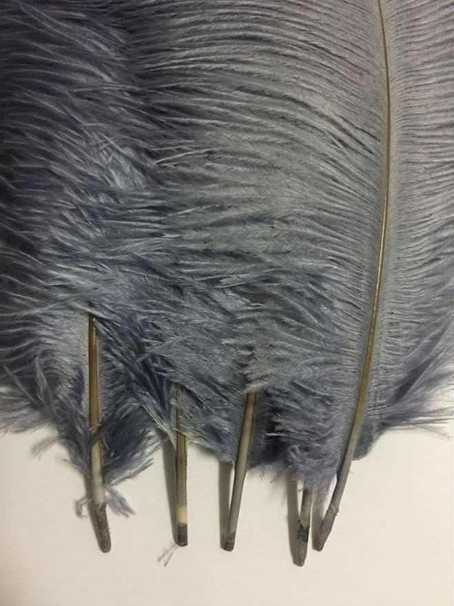 KOLIGHT® 40pcs 12''~14''(30~35cm) Natural Ostrich Feathers for DIY Home Wedding Party Office Decoration (Gray)