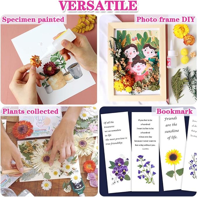 Vignee Real Dried Pressed Leaf Flowers-Multiple Colorful Pressed Flowers Daisies for Craft Resin Jewelry Making Art Craft DIY（Blue & Purple）