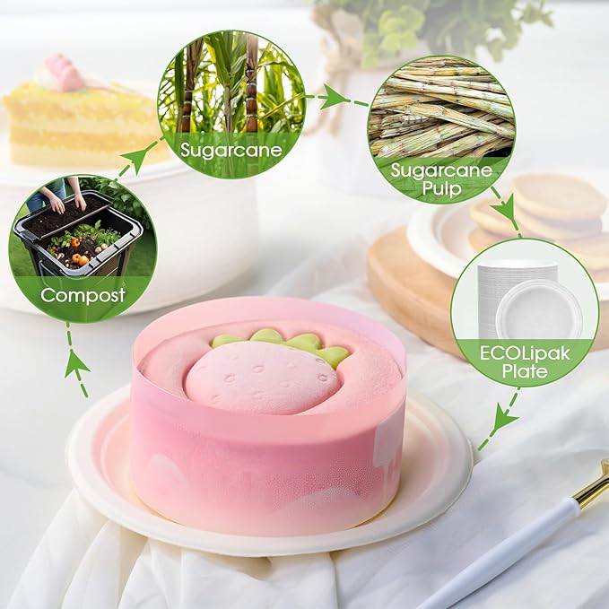 Small Paper Plates 6 Inch Sugarcane 500 Count White Round