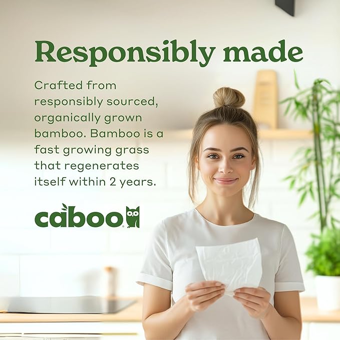 Disposable Napkins, Tree-Free Viscose, 1-Ply, 4 Packs of 250 Sheets