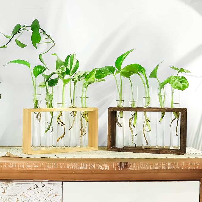 Ivolador Plant Propagation Station Terrariumin Wall Test Tube Vases Bud Tabletop Glass Wooden Stand with 5 Propagation Tubes for Propagating Hydroponic Plants Home Garden Wedding Decoration-Beige