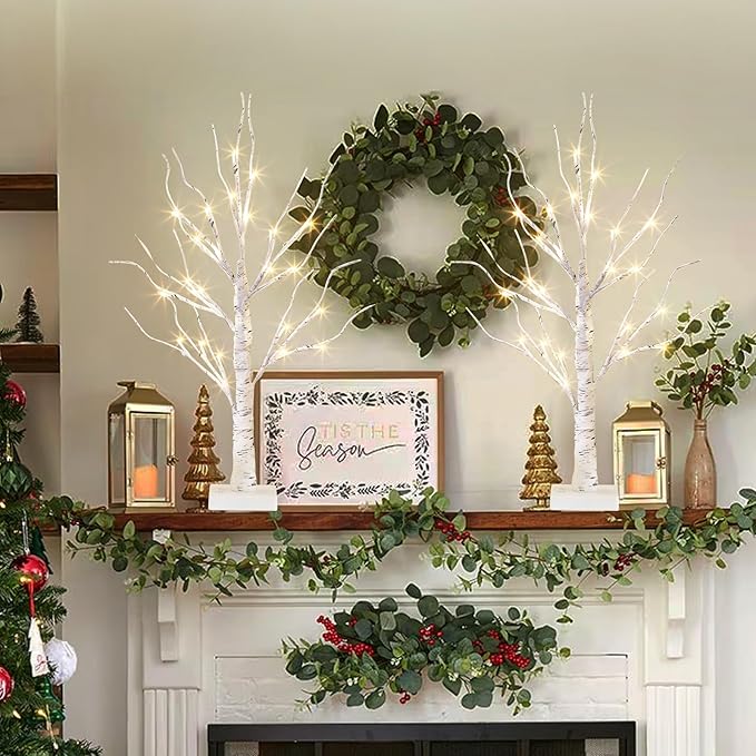 EAMBRITE Lighted Birch Tree Christmas Decorations Indoor for Home, 2Pack 24 LED Battery Operated/USB Tabletop Mini Small Artificial White Trees with Lights for Table Mantel Winter Xmas Decor (2FT)