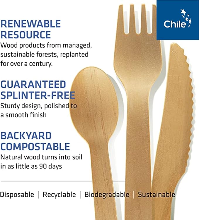 Wooden Spoons, 100 Count, Disposable, Plastic-Free, FSC Certified