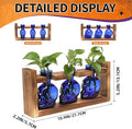 Terrariums Set of 3 Blue Skull Glass Vases with Wood Stand