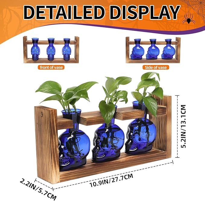 Terrariums Set of 3 Blue Skull Glass Vases with Wood Stand