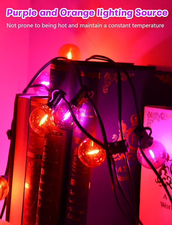 Outdoor String Lights 25 FT G40 LED Orange and Purple Globe Bulbs