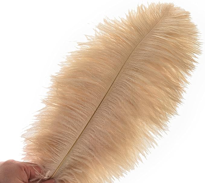 Ballinger Champagne Large Ostrich Feathers - 12Pcs 14-16inch Large Boho Feathers for Vase,Wedding Party Centerpieces and Holiday Home Decor