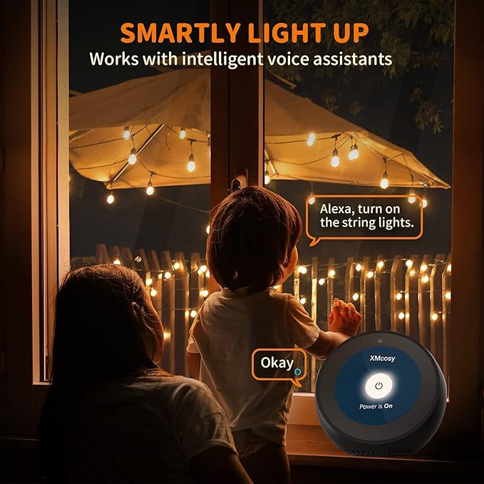 String Lights 100 Ft G40 Globe, Dimmable Smart Warm White 2700K