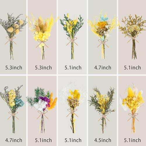 10/12/24/36 Pack Mini Dried Flowers for Vase Wedding Fall Various Mini Bouquet Dried Small Natural Flowers Bulk for Crafts DIY Decor (10, Yellow)