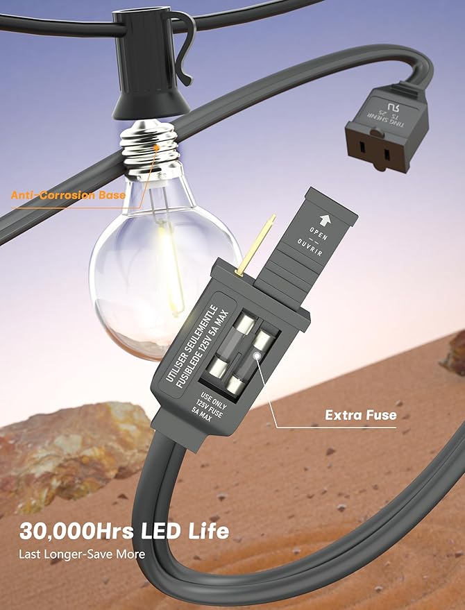 String Lights 25 Ft G40 LED Globe, Warm White on Black Wire