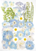 Real Dried Pressed Flowers Leaf Plant Herbarium for Crafts Resin Jewelry Making, Floral Cake Decorations-Fog Blue