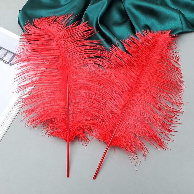 12pcs Natural Bright Red Ostrich Feathers 12-14inch (30-35cm) for Wedding Party Centerpieces，Flower Arrangement and Home Decoration.