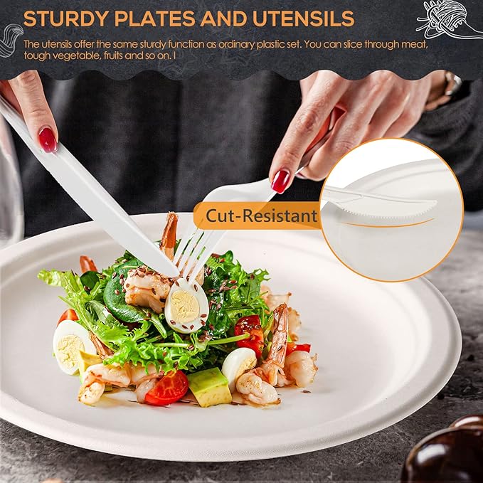 Plates 250-Piece Compostable Bagasse Disposable Dinnerware Set in White